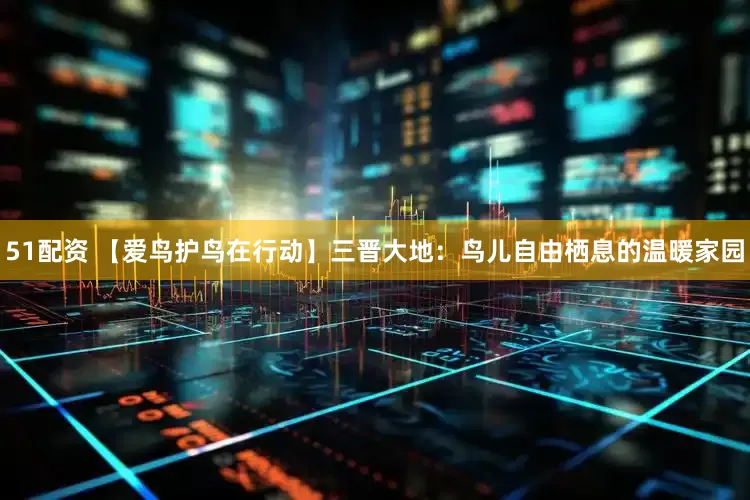 51配资 【爱鸟护鸟在行动】三晋大地：鸟儿自由栖息的温暖家园